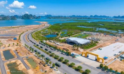 TỪ ĐÔ THỊ BỤI MỊN ĐẾN MIỀN XANH SINH THÁI: CUỘC DỊCH CHUYỂN ÂM THẦM CỦA GIỚI TINH HOA